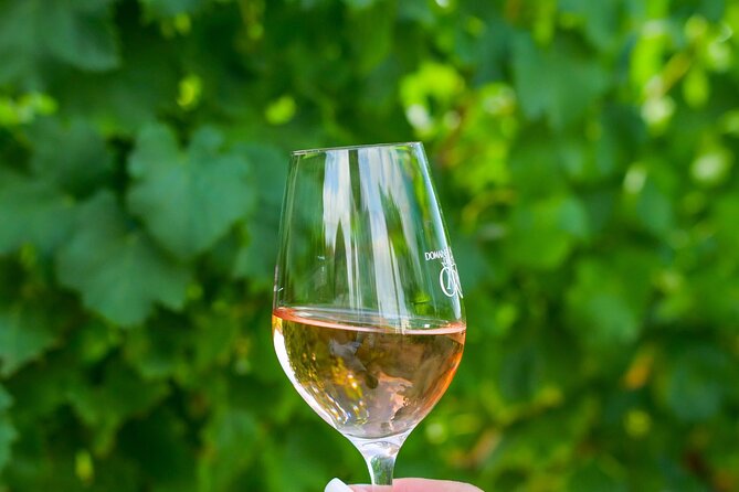 1/2 day, private wine tour, van from Saint Tropez - Learning About Rosé and Provence’s Terroir