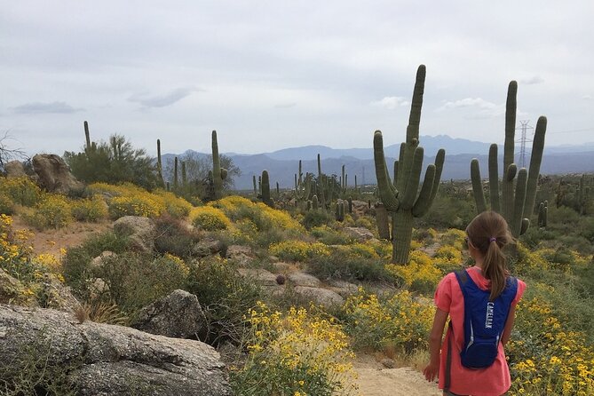 1-2 Hour Sonoran Desert Private Guided Hiking Tour - Key Points