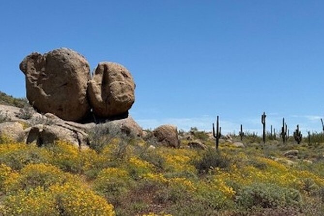1-2 Hour Sonoran Desert Private Guided Hiking Tour - What Makes the Sonoran Desert Landscape Special?