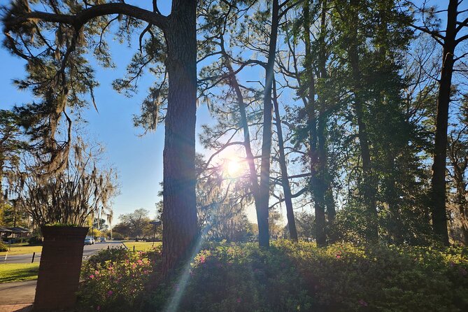 1.25-Hour Wilmington E-Bike Sunset Ride - E-Bike Selection and Safety Equipment