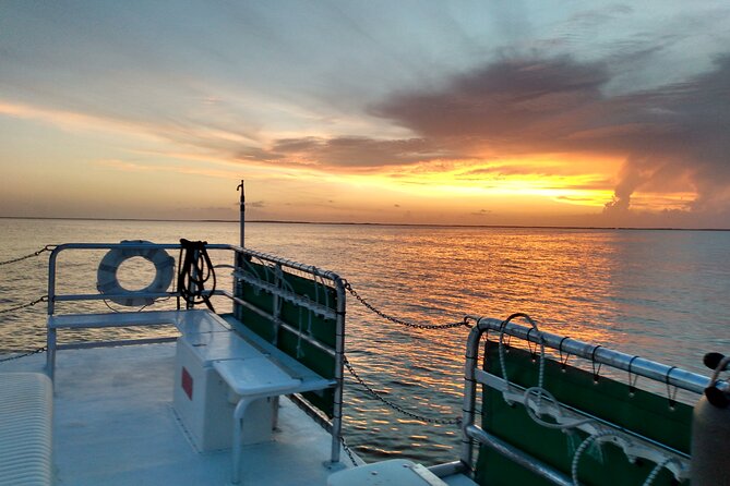 1.5 Hour Bay Side Key Largo Sunset Cruise on a Spacious Catamaran - The Departure Point at Amoray Dive Center