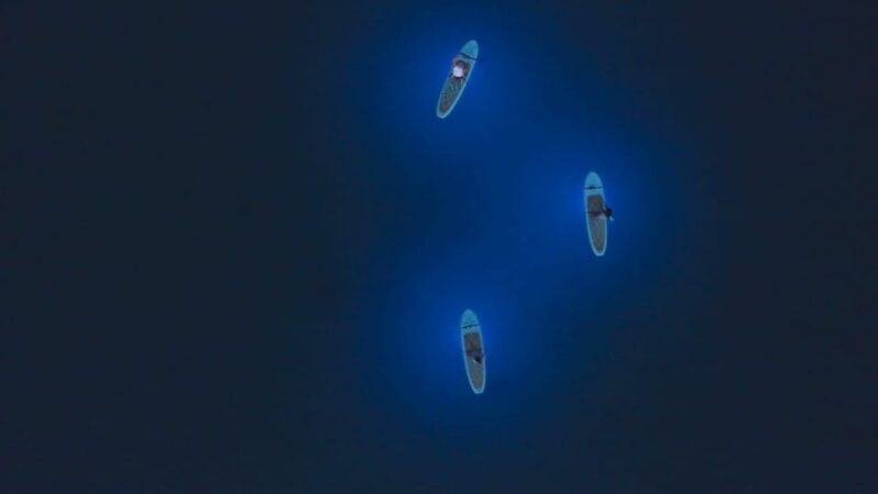 1.5-hour Clear Kayak Rental: Discover the Underwater World - Notable Stops and Landmarks Along the Route