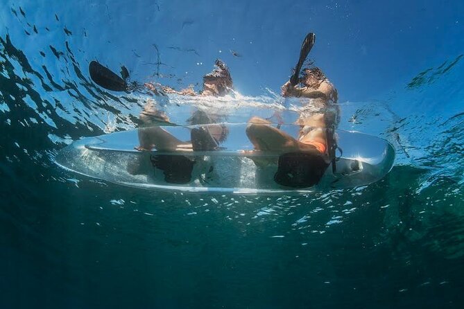 1.5-hour Clear Kayak Rentals: Explore Verudela Cave & Islands - The Guides and Their Role in the Experience