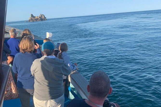 1.5 Hour Coastal Tour of Herm & Jethou - Key Points