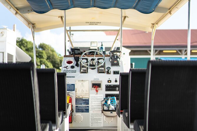 1.5 Hour Elite Whale Watch Kaanapali Beach - Snorkeling and Marine Life