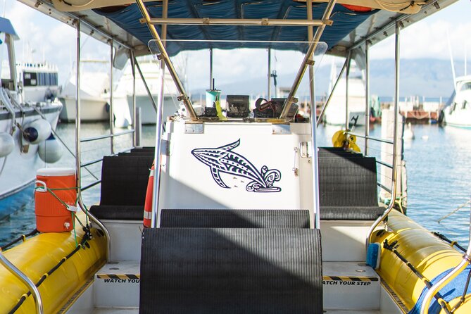 1.5 Hour Elite Whale Watch Kaanapali Beach - Wildlife Encounters and Why They Matter