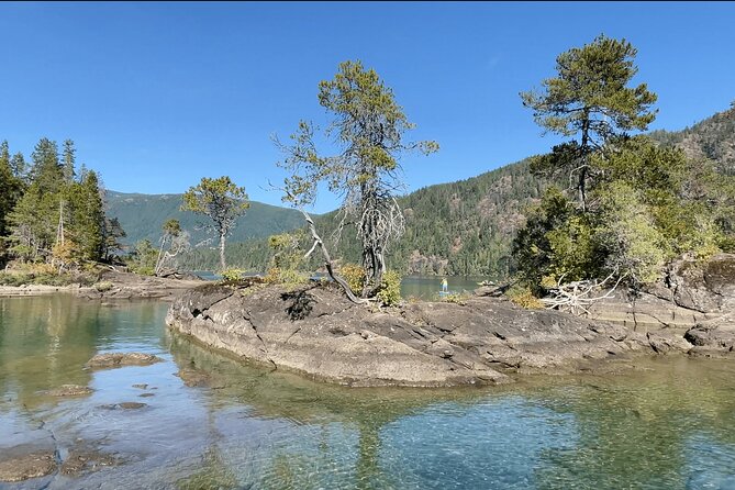 1.5 hour guided SUP tour on the pristine waters of Cowichan Lake - What Makes Gordon Bay Provincial Park the Top Paddleboarding Spot