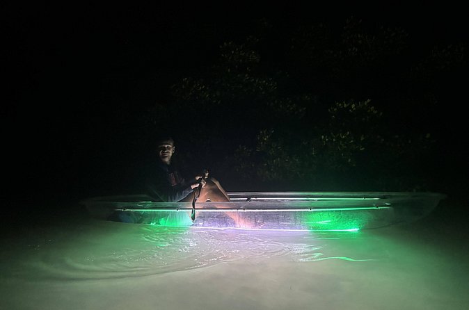 1.5-Hour LED Illuminated Clear Kayak Night Adventure Tour - The Guide and Safety Measures