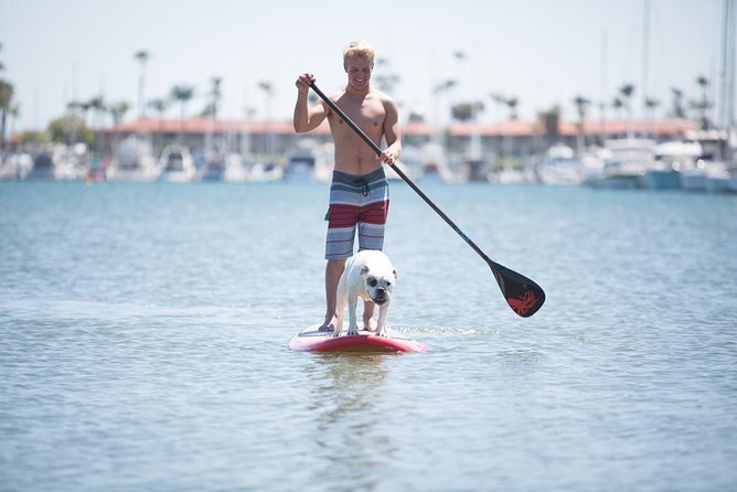 1.5 Hour Paddle Board Rental with Instruction - Key Points