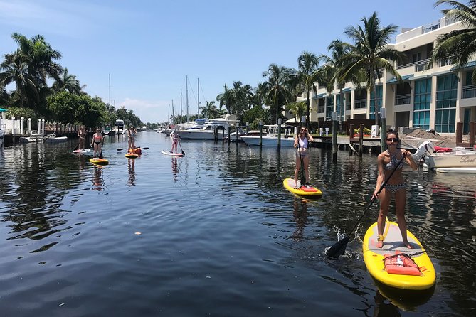 1.5 Hour Paddle Board Rental with Instruction - Who Will Enjoy This Tour Most?