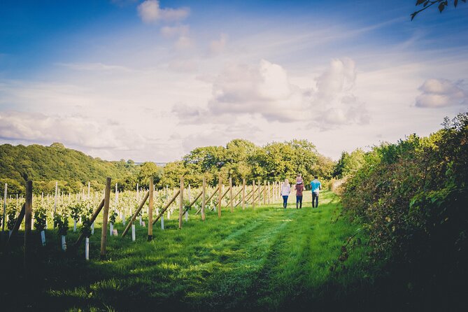 1.5-Hour Swanaford Vineyard Tour And Tasting Experience - Exploring Swanaford Vineyard: A Family-Run Operation in Dartmoor