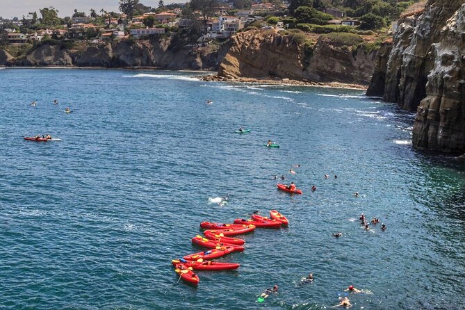 1.5 Hour Walking Tour from La Jolla in San Diego - Evaluating the Value of the La Jolla Walking Tour