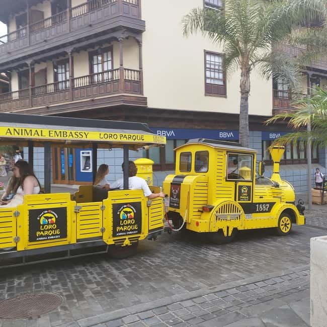 1.5-hour walking tour of Puerto de la Cruz, Tenerife. - Explore the Coastal Beauty of Puerto de la Cruz in 90 Minutes