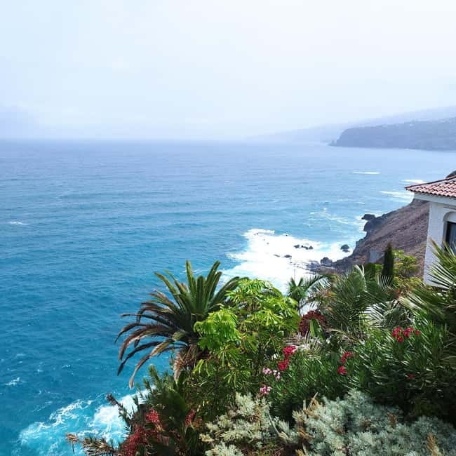 1.5-hour walking tour of Puerto de la Cruz, Tenerife. - Who Will Benefit Most from This Tour