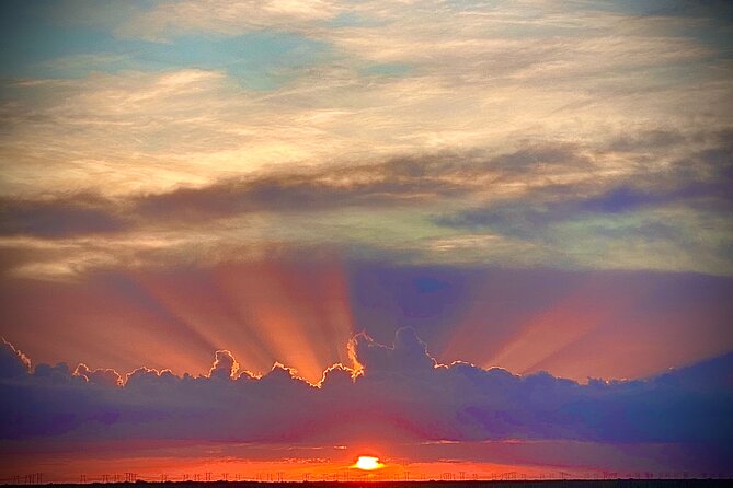 1.5 Hr Guided Private Everglades Airboat Tour, Fort Lauderdale - Encountering Wildlife in the Everglades