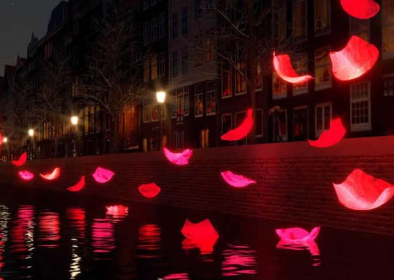 #1 Amsterdam Light Festival Cruise incl. Drinks & Biscuits - Key Points