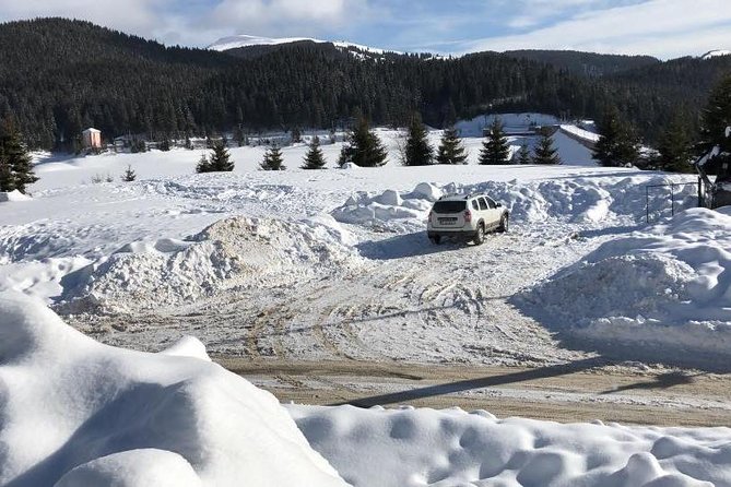 1 Day 4x4 Tour in Carpathian Mountains - Key Points