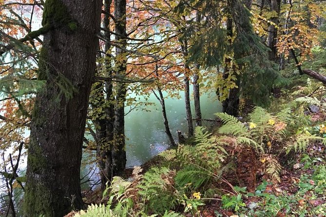 1 Day 4x4 Tour in Carpathian Mountains - The Thrill of Off-Road 4x4 Driving at 6,890 Feet