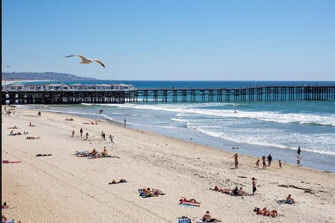 1 Day Adult Surf Retreat in San Diego - The Role of the Guides and Instruction Quality