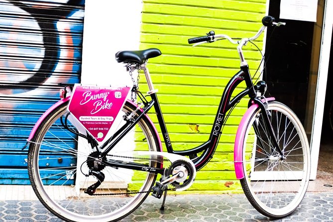 1 Day Bike Rental in Seville city - Exploring Seville on Two Wheels: The Experience
