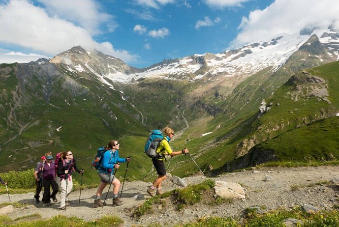 1 day CARPATHIAN PEAKS & CHALETS hike - A Guided Mountain Adventure from Brasov for Just $71.21