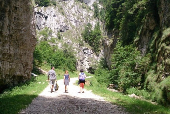1 day CARPATHIAN PEAKS & CHALETS hike - The Scenic Highlights: Mountain Views and Natural Wonders