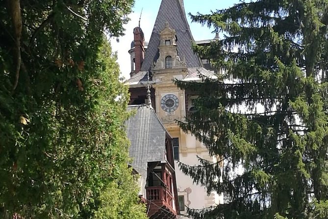 1 Day Castles Tour - Sinaia and Bran - Professional Guide and Local Insights
