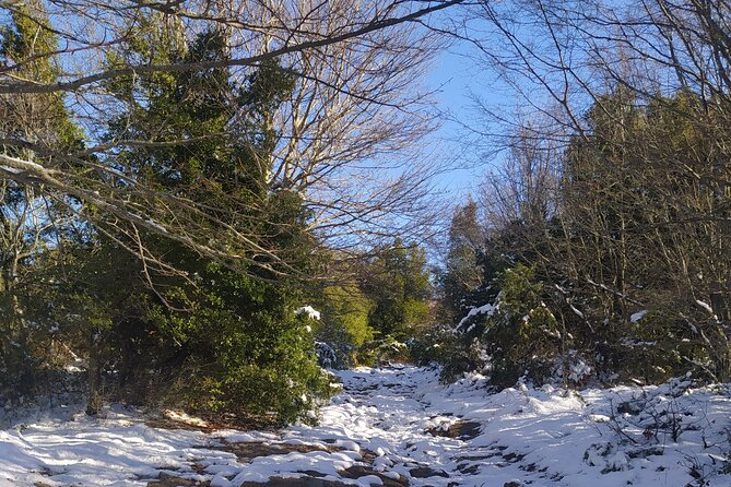 1 Day Chortiatis mt Thessaloniki Hiking Tour with Hotel Pickup - Exploring the Biodiversity of Chortiatis Mountain