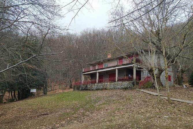 1 Day Chortiatis mt Thessaloniki Hiking Tour with Hotel Pickup - Practical Details: Meeting, Timing, and Group Size