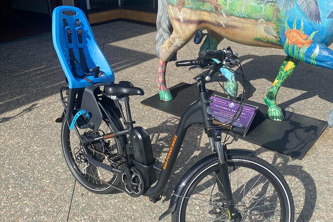 1 Day Electric Bike Rental in Solana Beach - Stops Along the Coastline: From Encinitas to Carlsbad
