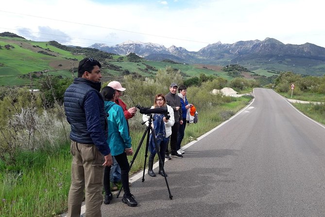 1 Day Excursion to White Villages and Ronda - Starting from Seville’s C. Rastro, 12a, travelers embark at 9:00 am to begin this scenic journey through Andalusia’s famed whitewashed villages and rugged landscapes. The tour offers a comfortable ride in an air-conditioned vehicle, ideal for long hours on the road. The group size is capped at 50 travelers, ensuring a lively but manageable atmosphere.