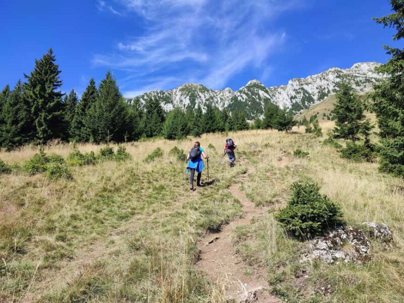 1 day hike to Piatra Craiului's highest peak (2238 m) - Walking Through Zarnesti Gorge and La Table Meadow