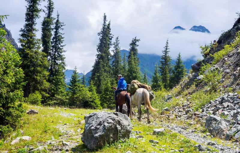 1 Day Horse Riding Adventure in Borjomi Mountains - Visiting Borjomi & Kharagauli National Park