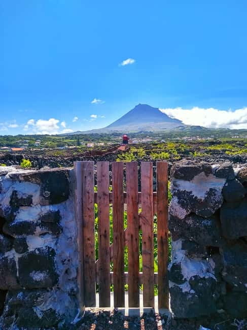 1-day jeep tour on the island of Pico - Azores - Key Points