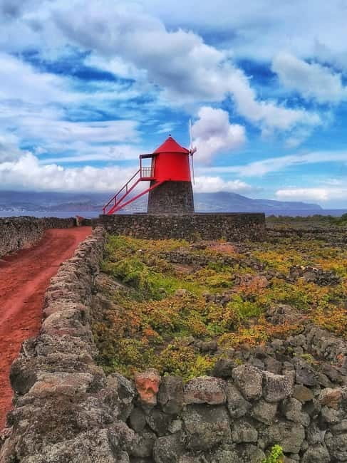 1-day jeep tour on the island of Pico - Azores - Exploring the UNESCO Vineyards in Criação Velha