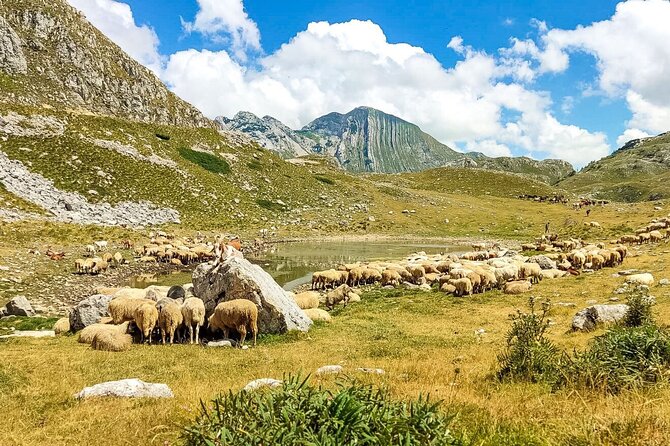 1-Day Montenegro Hiking Tour to Durmitor National Park - Return to Kotor and Evening Arrival
