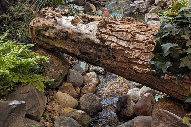 1 Day of Drumheller Dinosaurs and Badlands in Private Custom Tour - Exploring Horseshoe Canyon and the Badlands