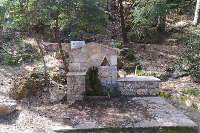 1 Day Parnitha Athens Private Hiking Tour with Hotel Pickup - Starting Point and Flexible Scheduling