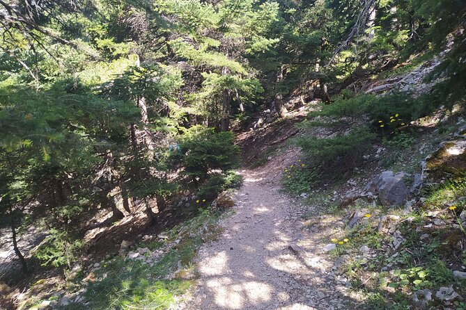 1 Day Parnitha Athens Private Hiking Tour with Hotel Pickup - Practical Details: Equipment and Safety