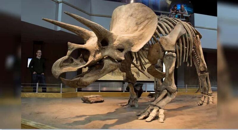 1-Day Private Premium Drumheller & Badlands Tour - Explore Alberta’s Prehistoric Secrets on a Private 1-Day Tour from Calgary