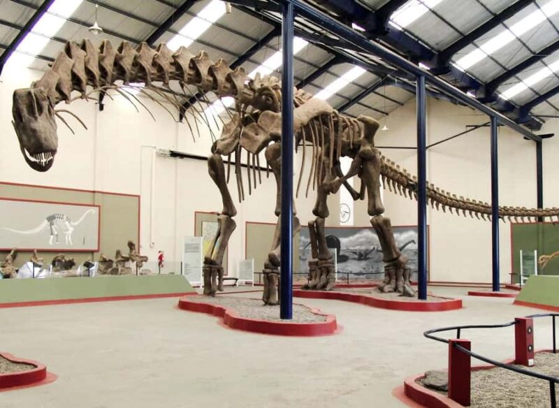 1-Day Private Premium Drumheller & Badlands Tour - The Iconic Royal Tyrrell Museum