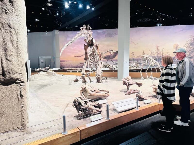 1-Day Private Premium Drumheller & Badlands Tour - Scenic Stops at Horseshoe Canyon and Hoodoos