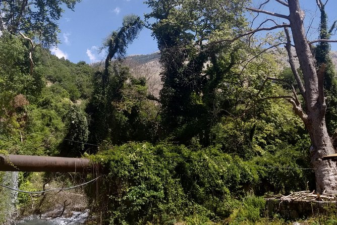 1-Day PRIVATE TOUR in South of Albania (Blue Eye, Gjirokaster, Lekures, Ksamil) - Logistics and Transportation: Hassle-Free Travel