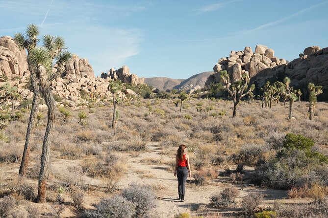 1-day Private Tour to Joshua Tree National Park from Los Angeles - Key Points