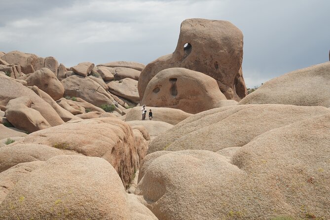 1-day Private Tour to Joshua Tree National Park from Los Angeles - Skull Rock: A Recognizable Landmark