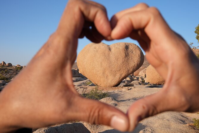 1-day Private Tour to Joshua Tree National Park from Los Angeles - Arch Rock Nature Trail: Geology and Scenic Hikes
