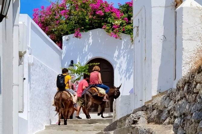 1 Day Rhodes Island Tour with Olive Oil, Honey and Wine Tasting - Tasting the Finest Local Wines