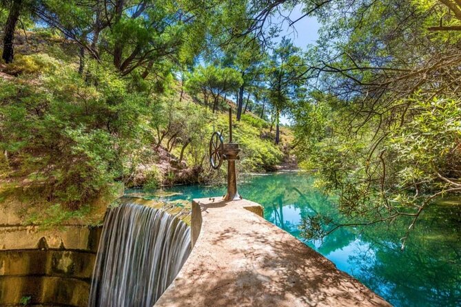 1 Day Rhodes Island Tour with Olive Oil, Honey and Wine Tasting - Expert Guides and Comfortable Transportation