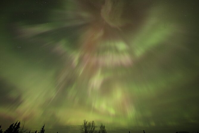 1 Day Shared Tour Arctic Circle and Aurora Viewing in Alaska - Key Points