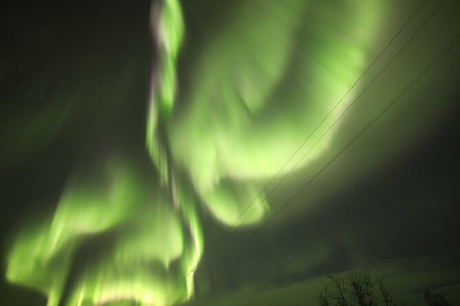 1 Day Shared Tour Arctic Circle and Aurora Viewing in Alaska - The Arctic Circle Sign: A Photo-Worthy Landmark